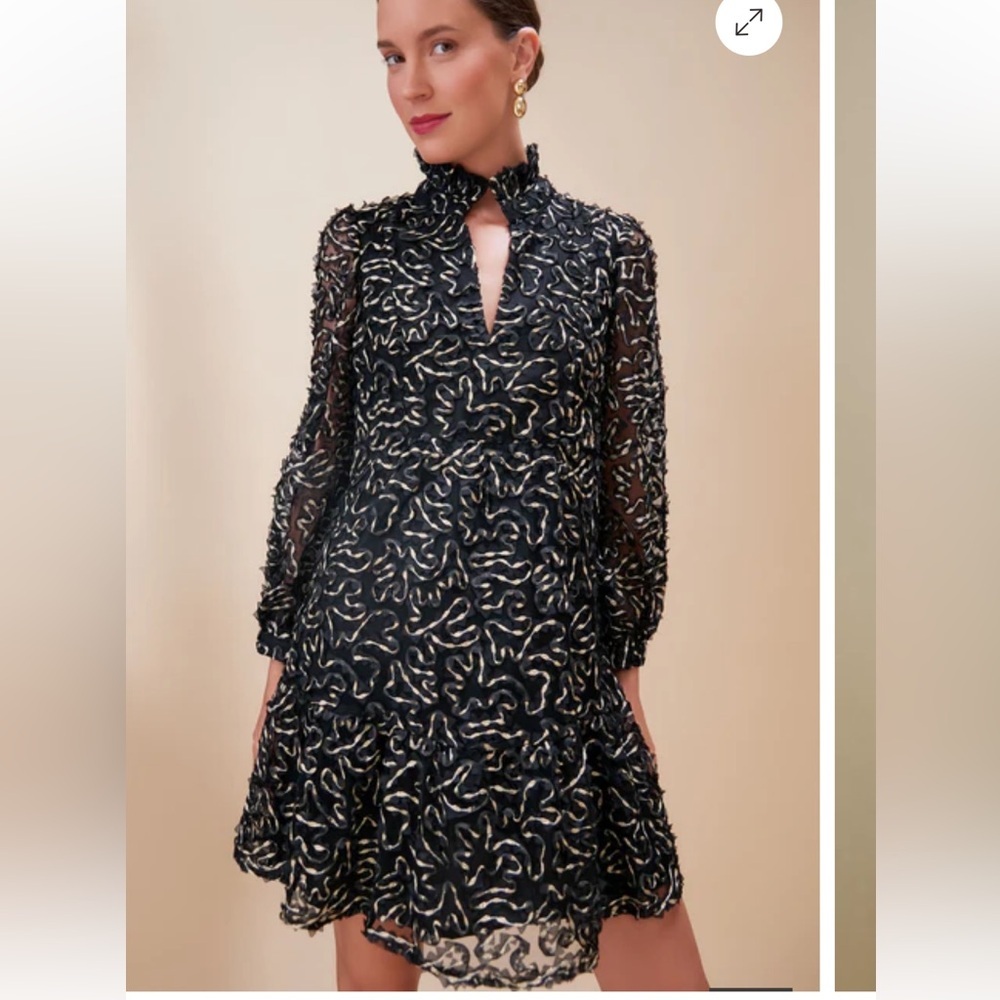 TUCKERNUCK
Nightly Organza Palmerston Dress RT $198 gold black holiday SMALL - Picture 3 of 12